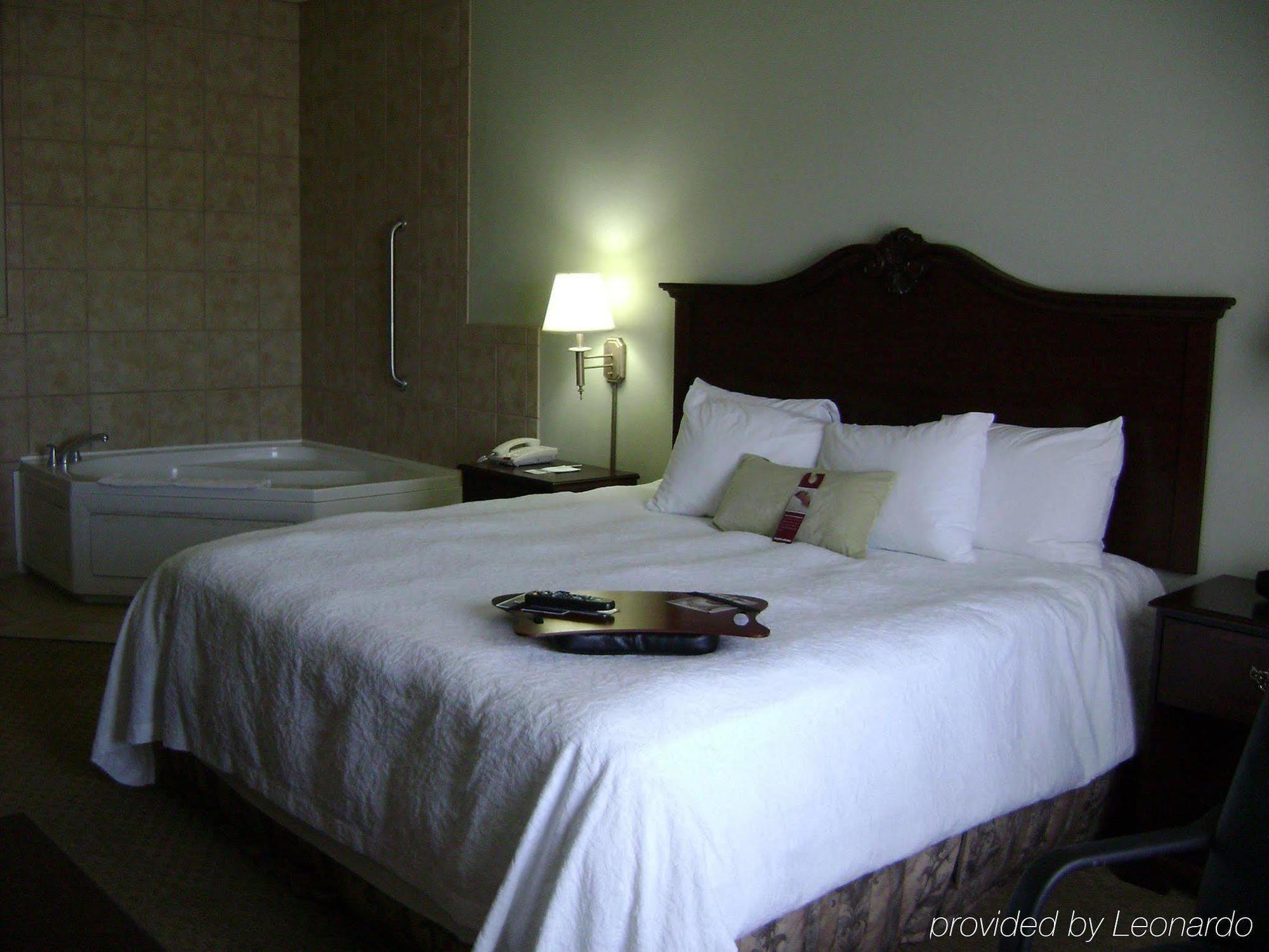 Hampton Inn Fort Stockton Ruang foto
